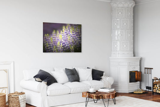 Figueroa Mountain Lupin 410 - Metal Print