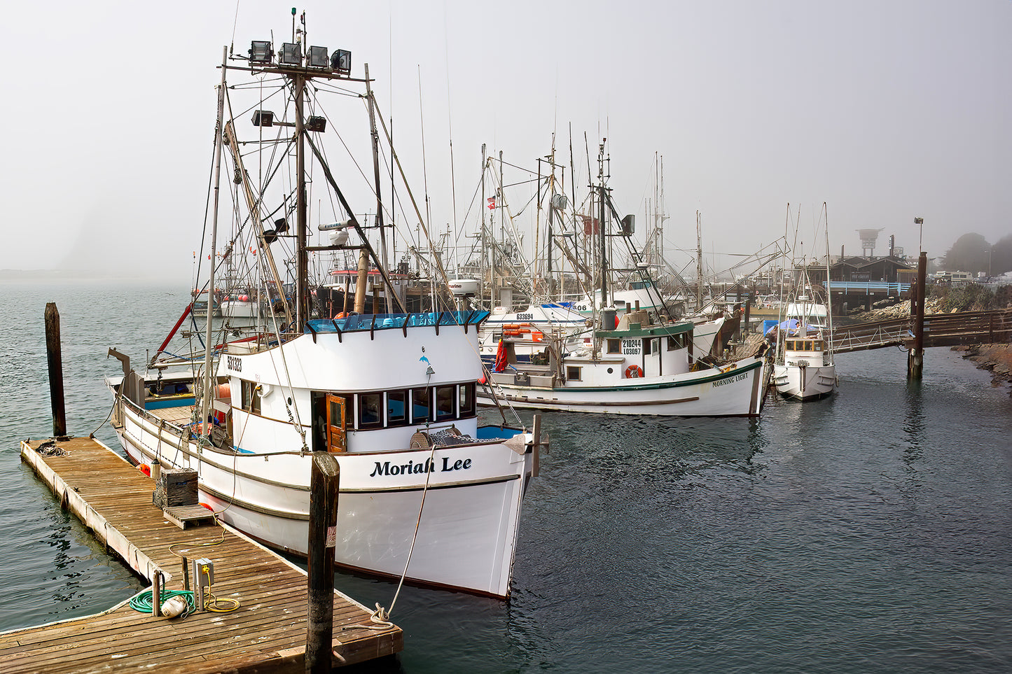 Morro Bay Morning 2010 - Metal Print