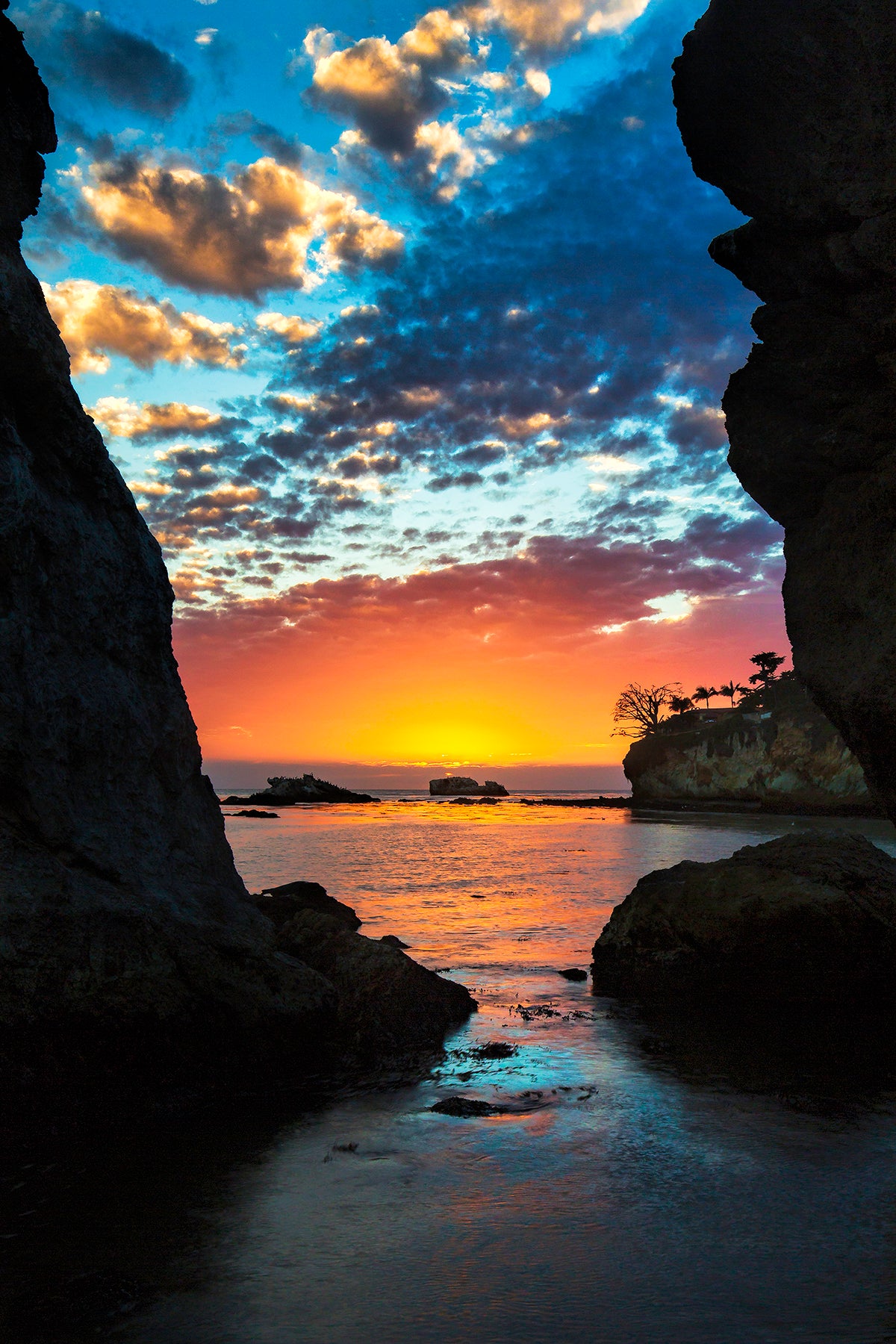 Shell Beach Silhouette - Metal Print