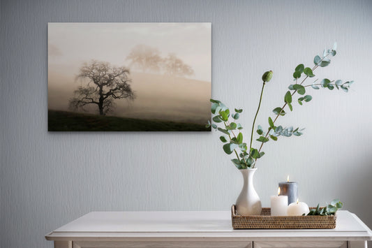 The Mist of Dawn - Metal Print