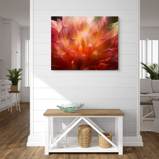 Dazzling Dahlia - Metal Print 3x4 format