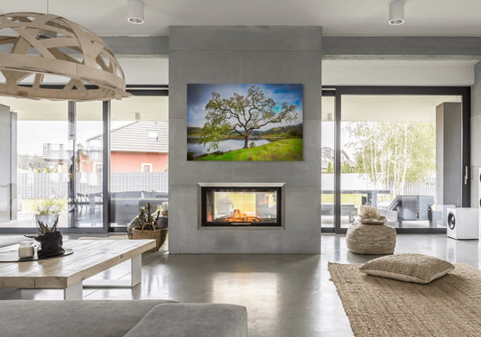 Lopez Tree - Metal Print