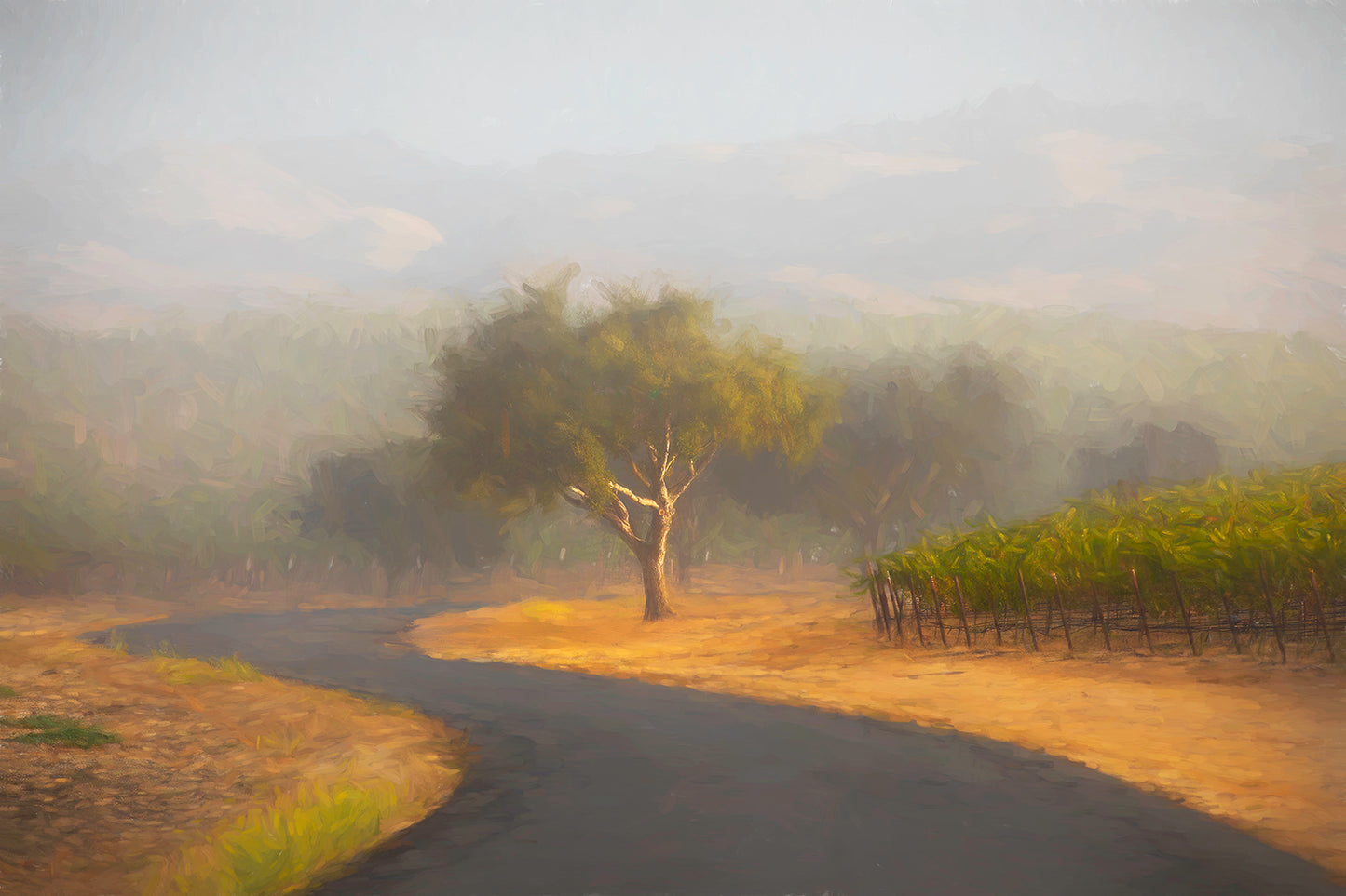 Edna Ranch at Sunrise (Impressionistic in oil) - Metal Print