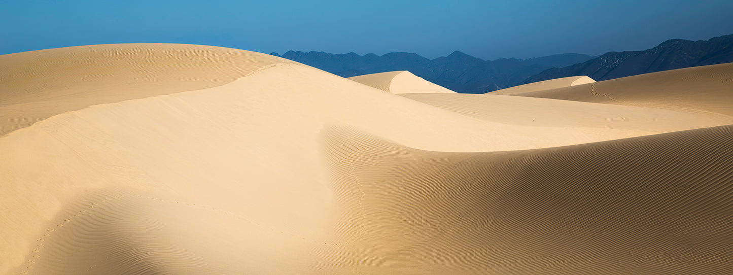 Oceano Dunes Panorama 274 V.2 - Metal Print