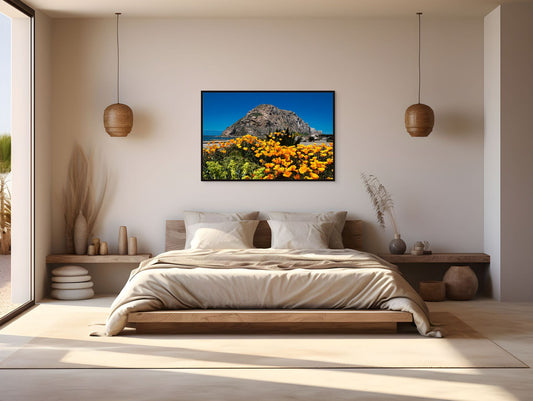 Morro Rock Poppies - Framed Canvas - Sale Price